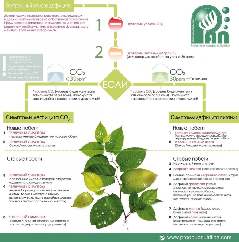 Таблица нехватки микроэлементов у растений аквариумные