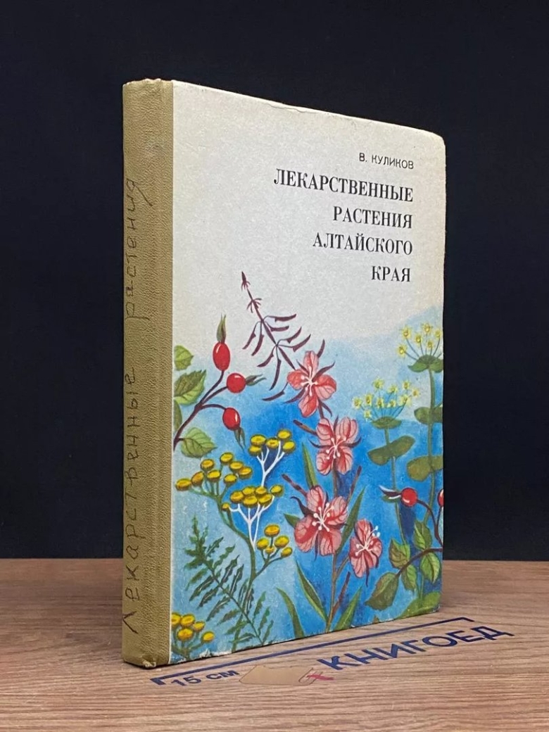 Лекарственные растения алтайского края