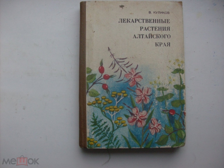 Лекарственные растения алтайского края