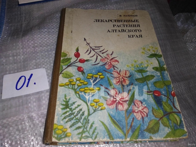 Лекарственные травы алтайского края