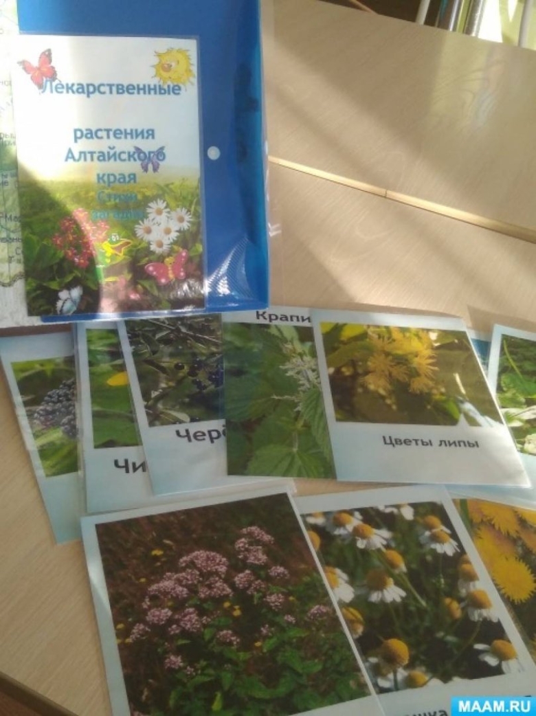 Лэпбук на Алтайском языке