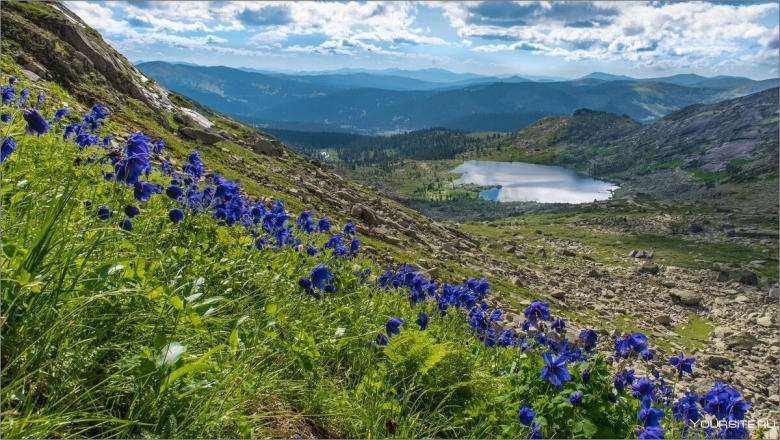 Ергаки Альпийские Луга