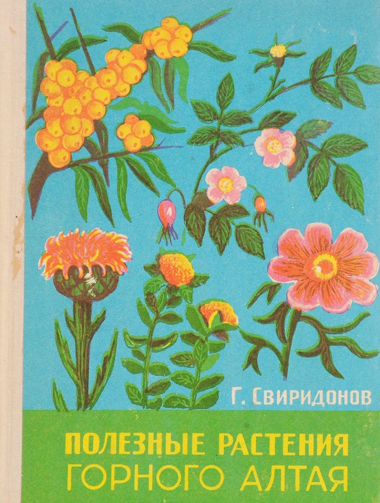 Лекарственные травы горного Алтая