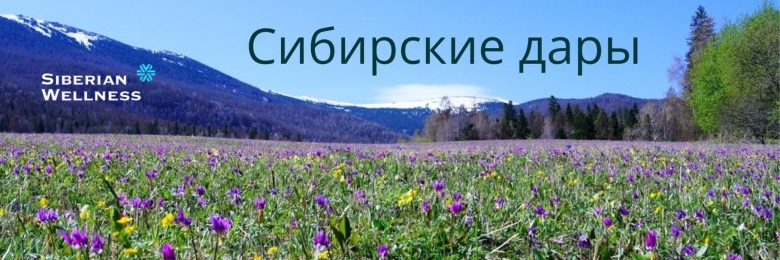 Красивые Луга в Красноярске