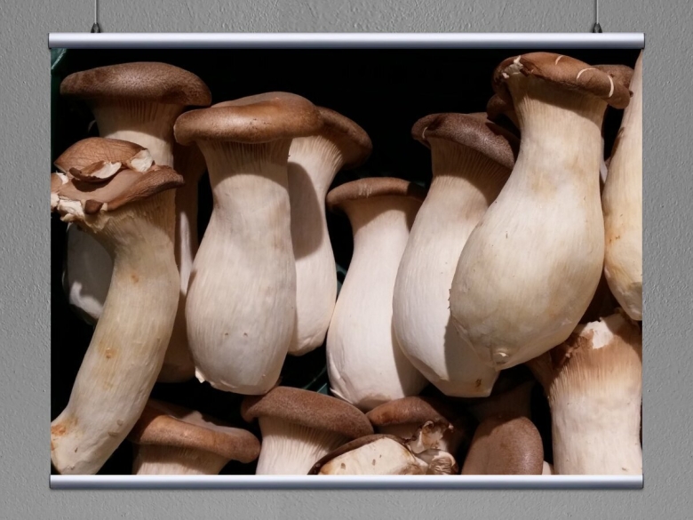 Корейские грибы Еринги