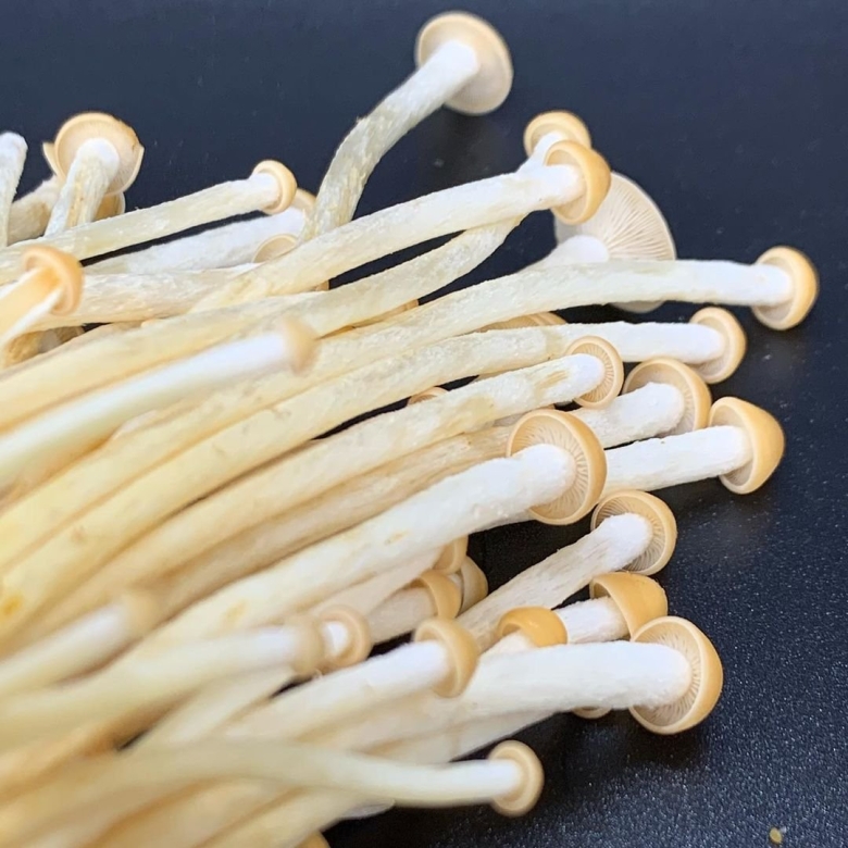 Японские грибы энокитаке