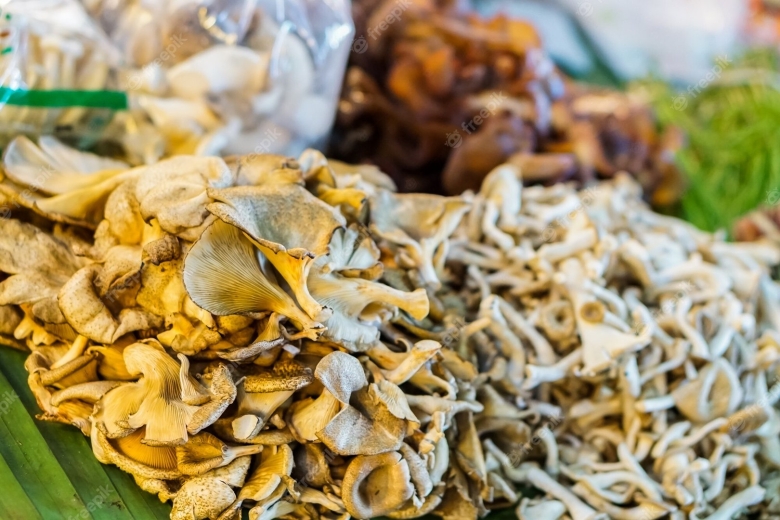 Грибы в Тайланде