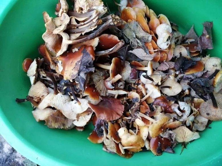 Салат Степной рецепт в детском саду