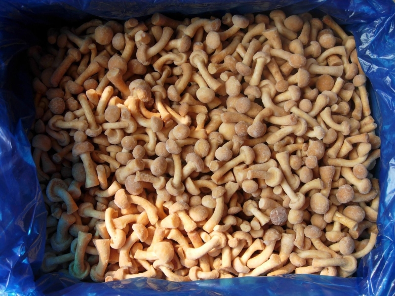 Китайские опята намеко