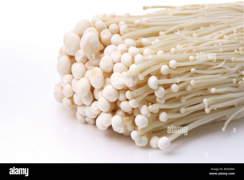 Грибы китайские эноки