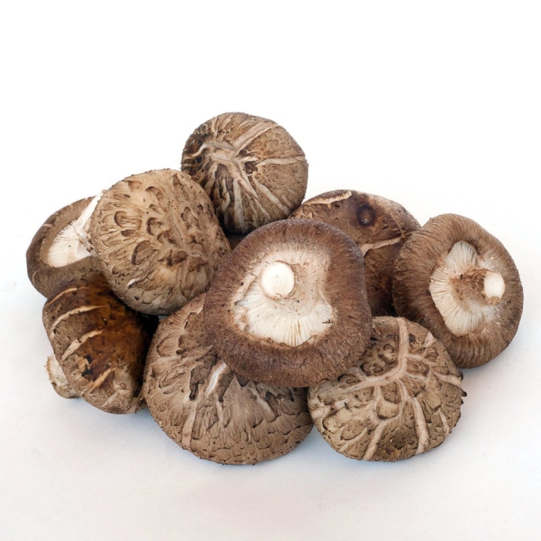 Китайские грибы шиитаке
