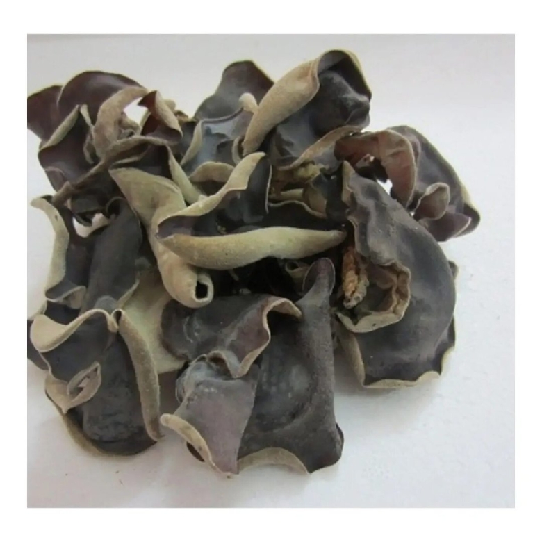 Черный китайский гриб