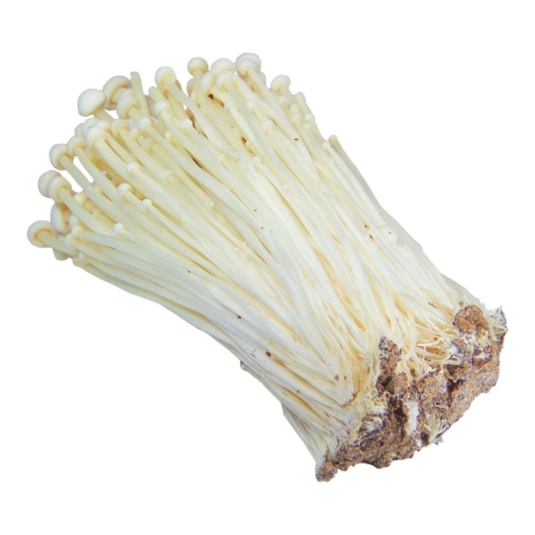 Корейские грибы эноки