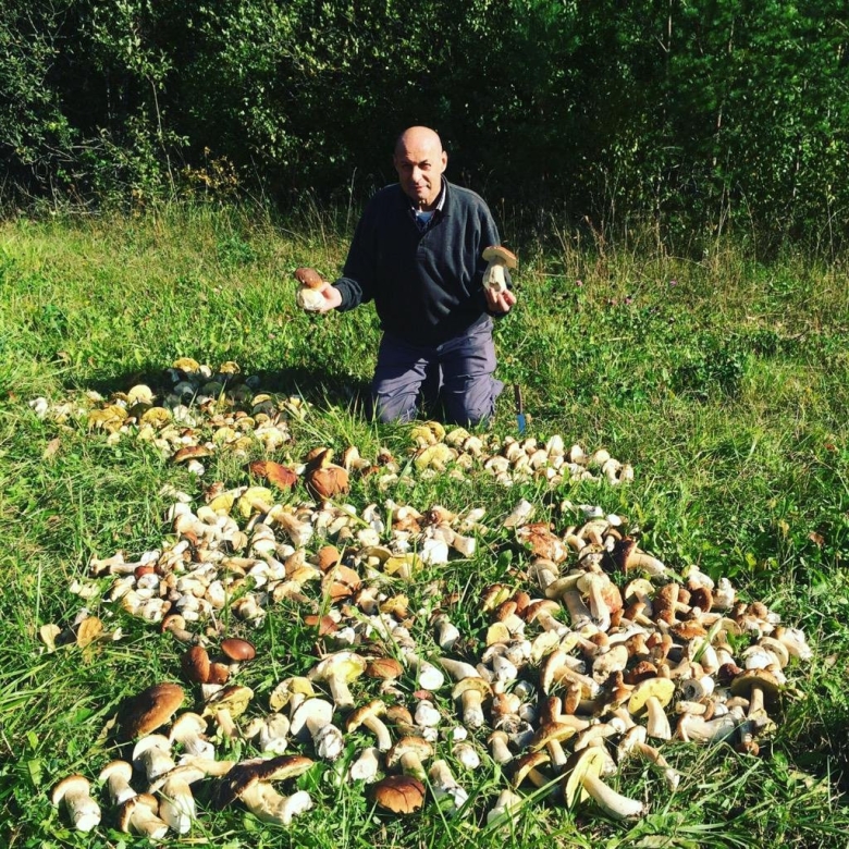 Ёлкино Воскресенский район грибы