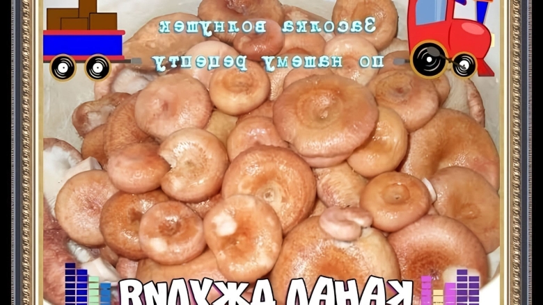 Волнушки соленые