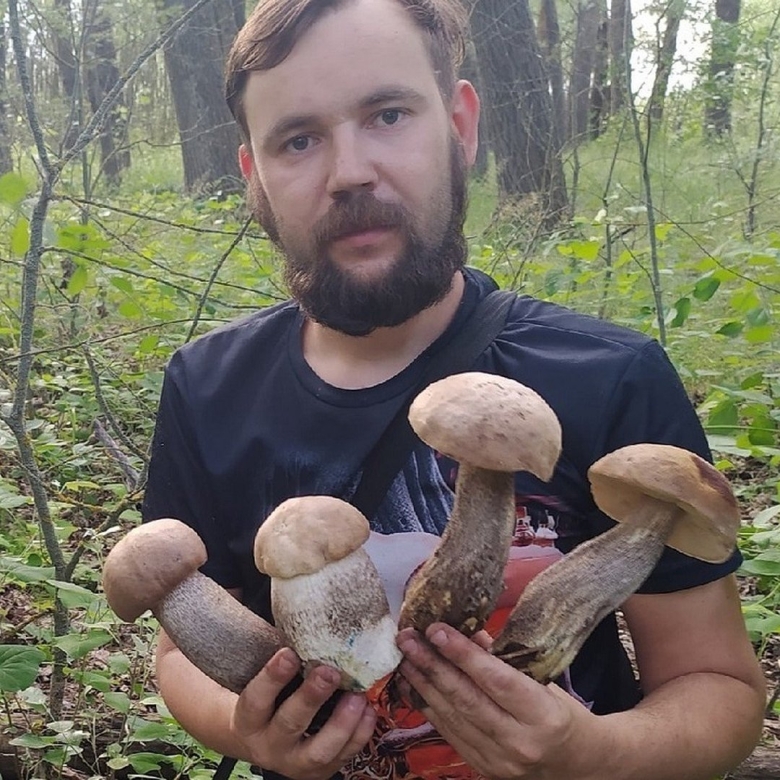 Грибы в Подмосковье