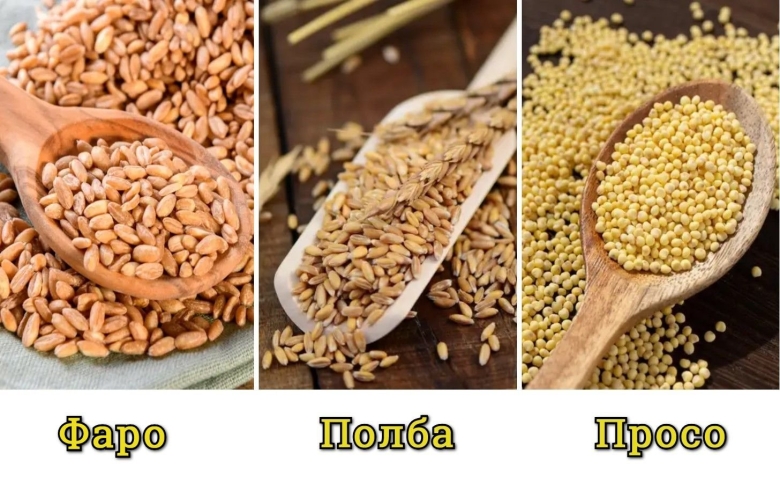 Польза злаковых каш