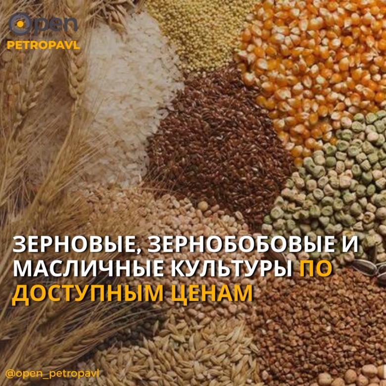 Семена масличных культур