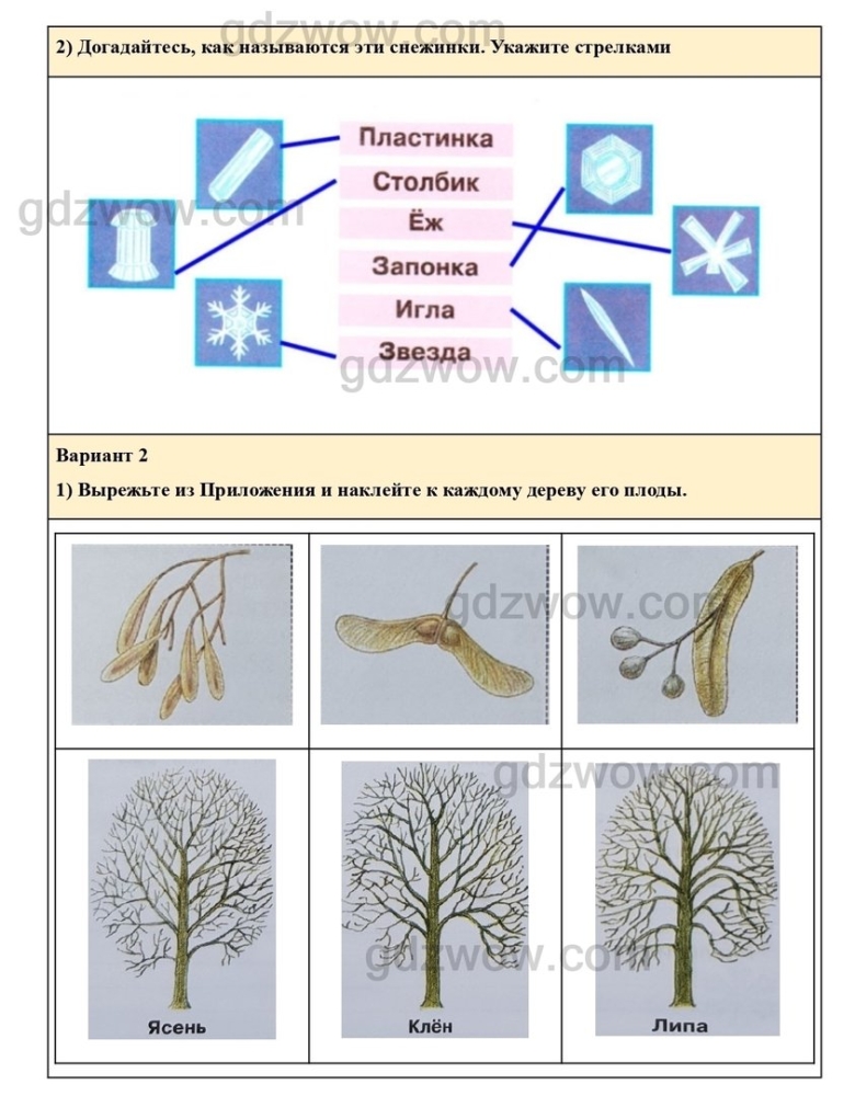 Догадайтесь как называются эти снежинки укажите стрелками