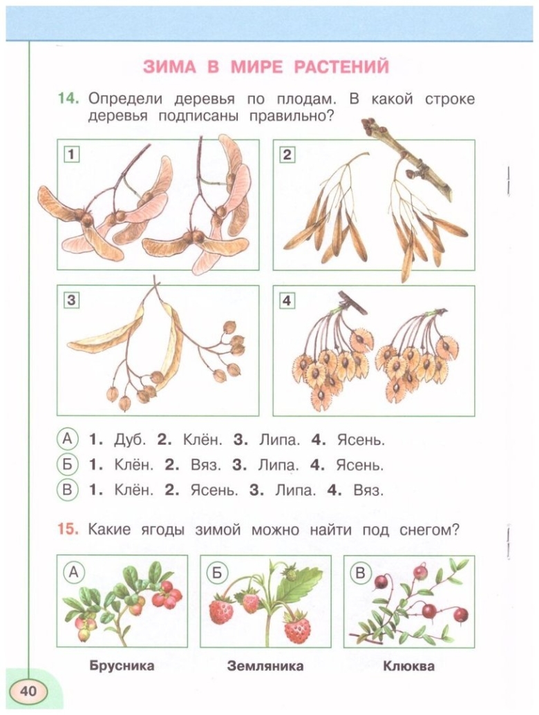 Плешаков окружающий мир тесты класс перспектива
