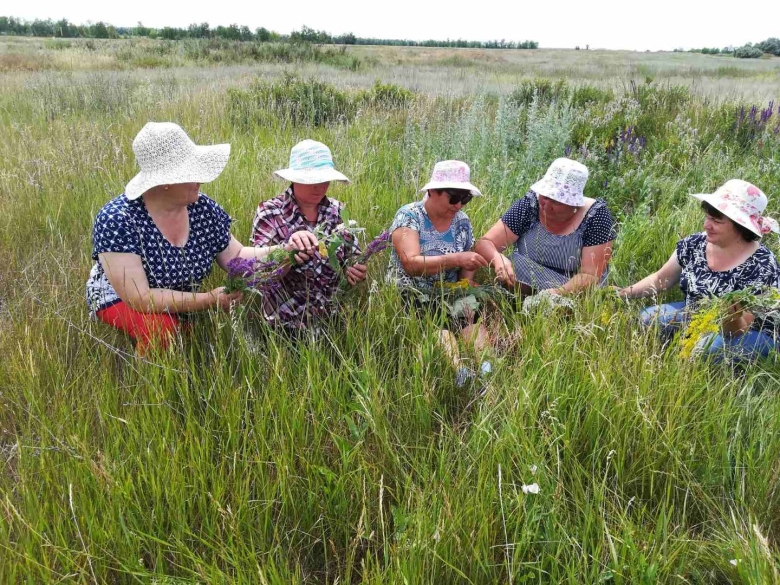 Собирает лекарственные травы