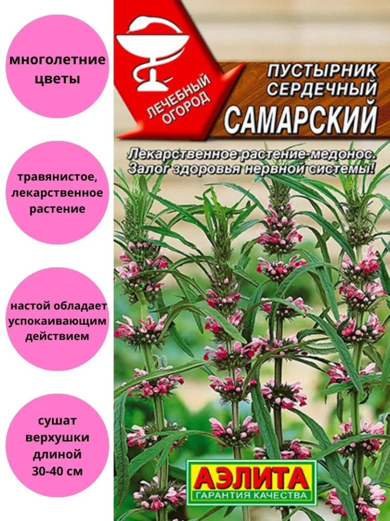 Пустырник сердечный Самарский