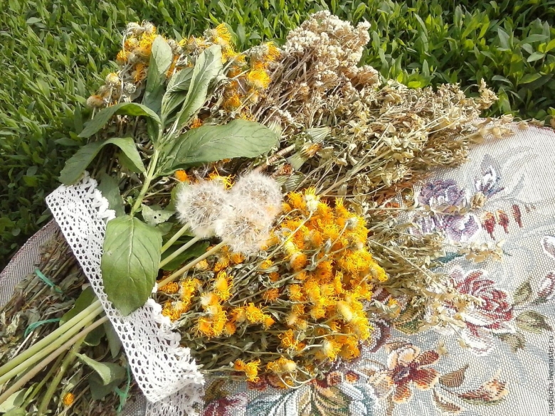 Травница Лаванда