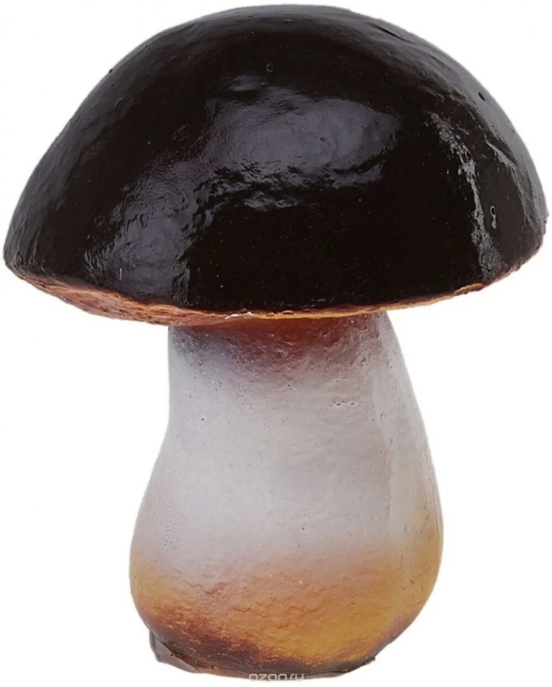 Боровик красноголовик