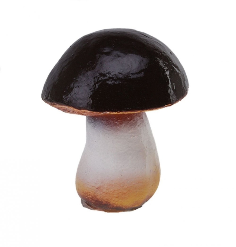 Боровик красноголовик