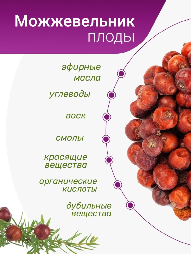 Можжевельник плоды