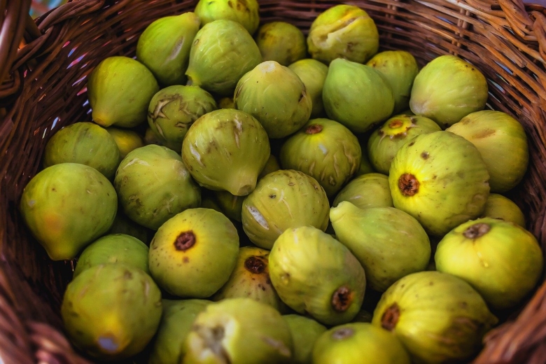 Крымский инжир зеленый