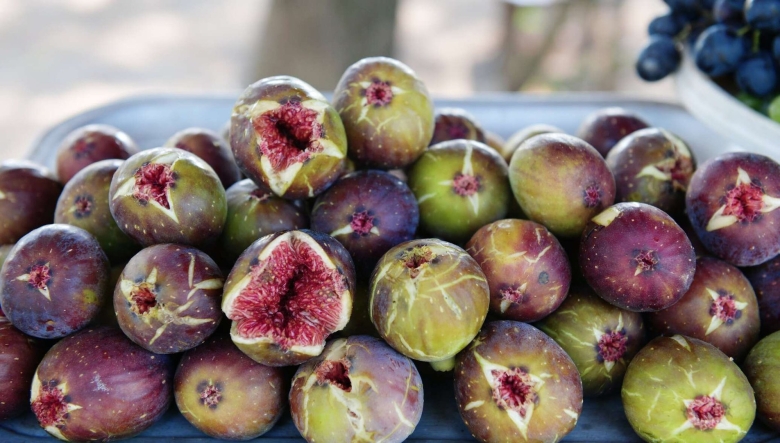 Инжир Абхазский фиолетовый