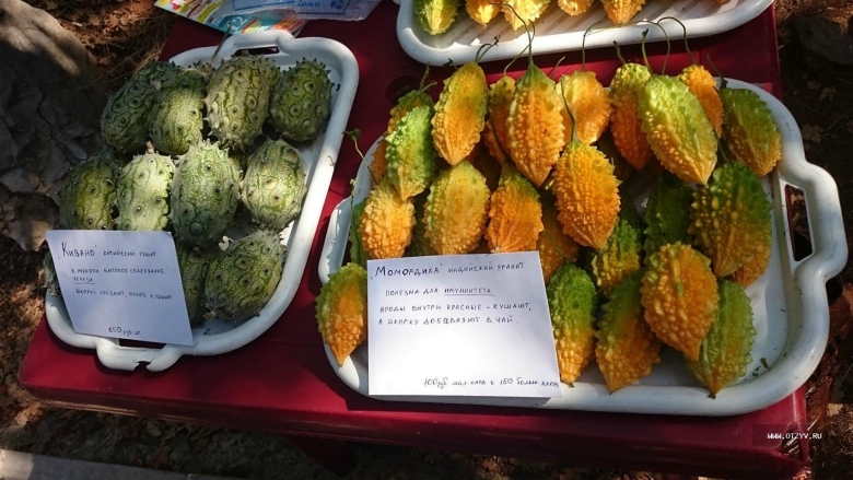 Экзотические фрукты Крыма