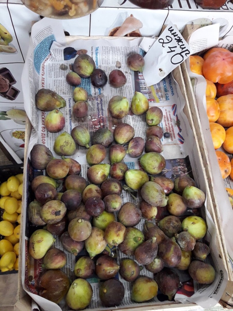 Фрукты растущие в Крыму