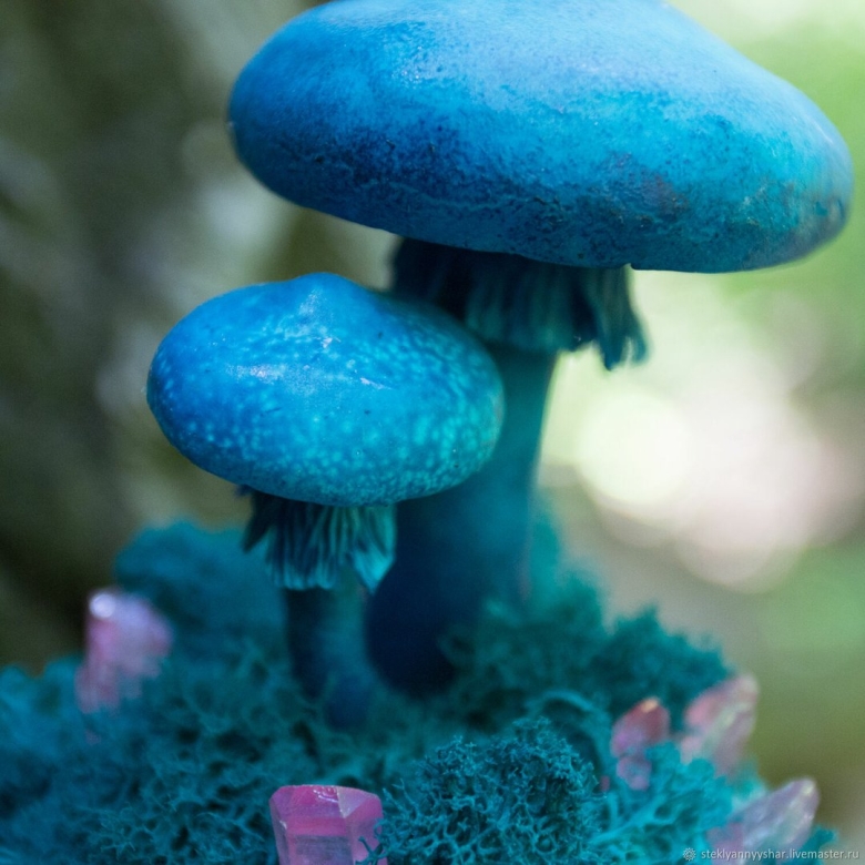 Бирюзовый гриб