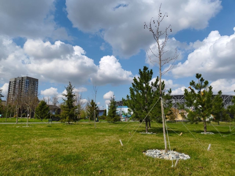Парк в волгограде