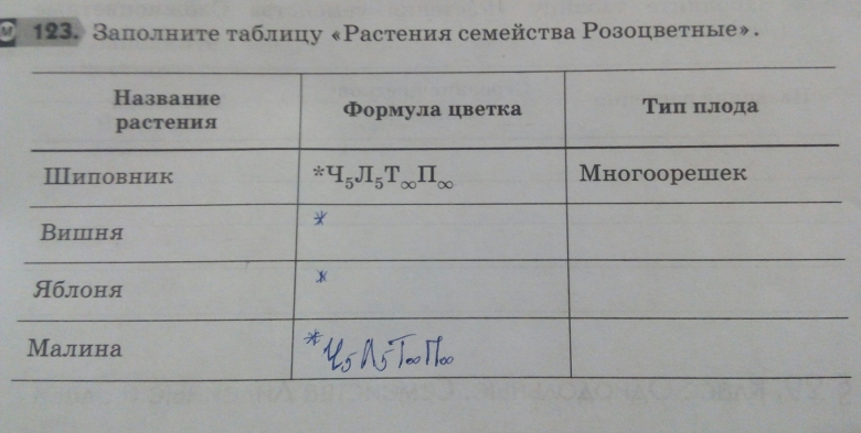 Семейство розоцветные таблица