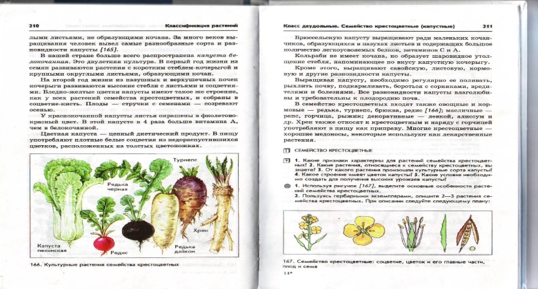 Биология класс учебник пасечник