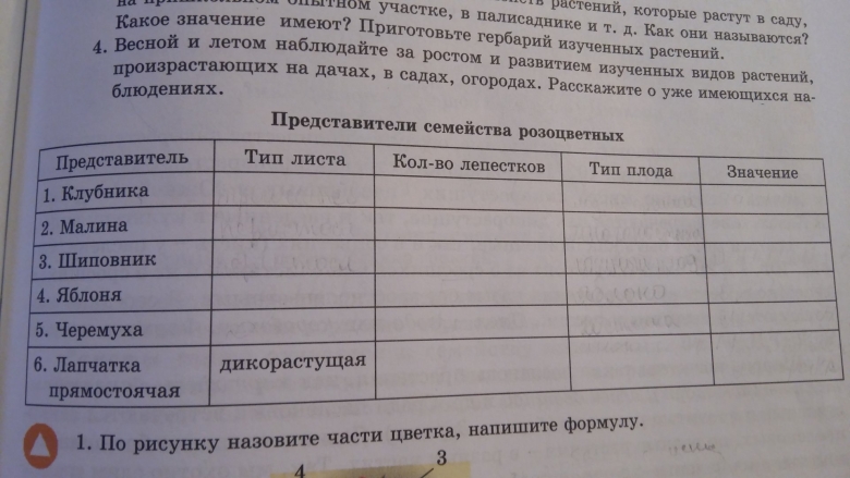 Заполните таблицу растения семейства Розоцветные