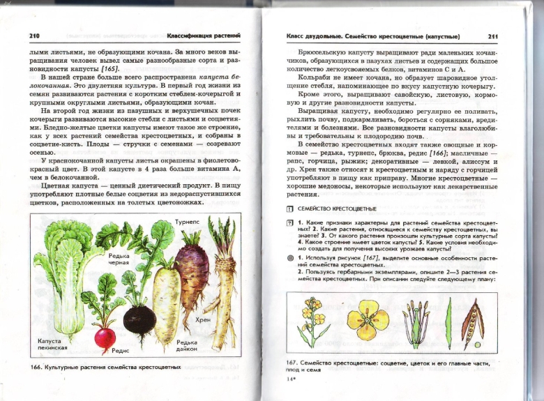 Учебник биологии класс пасечник