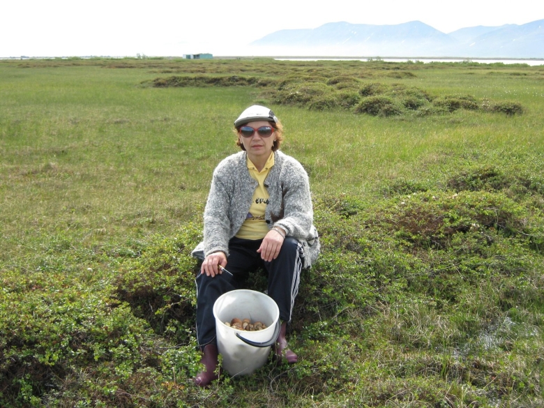 Грибы на Чукотке