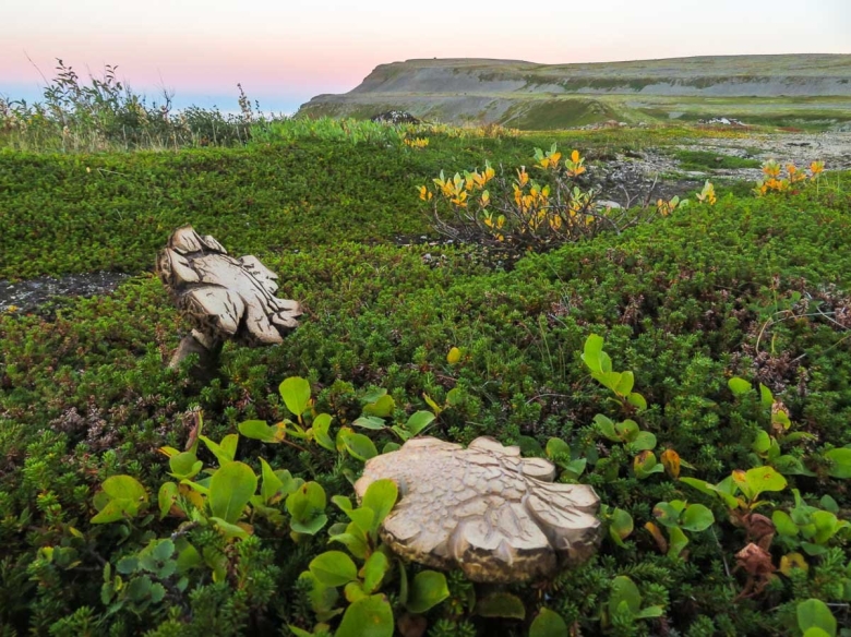 Кильдин остров в Баренцевом море