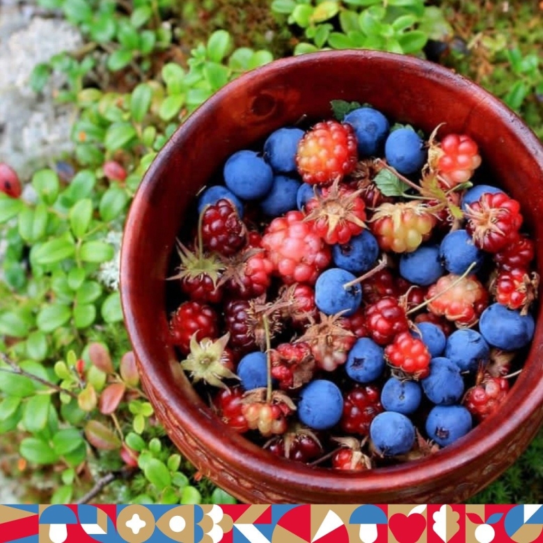 Ягоды голубики Якутия