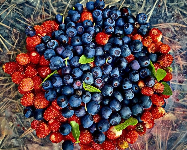 Лесные ягоды Южного Урала