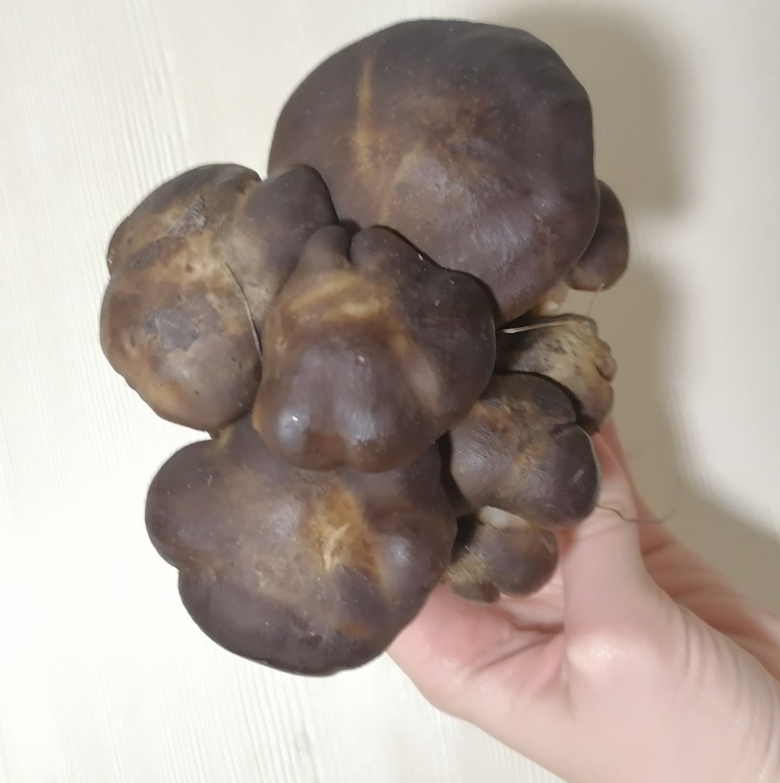 Грибы маринованные продажм в Липецке