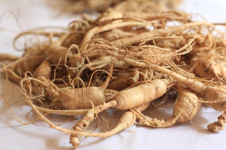 Panax Ginseng женьшень