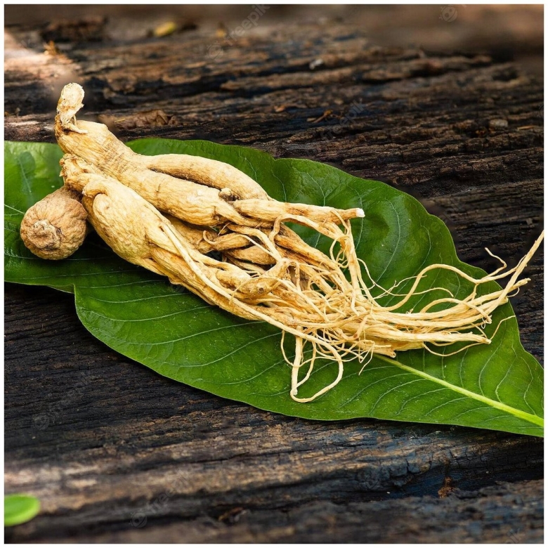 Цветущий женьшень