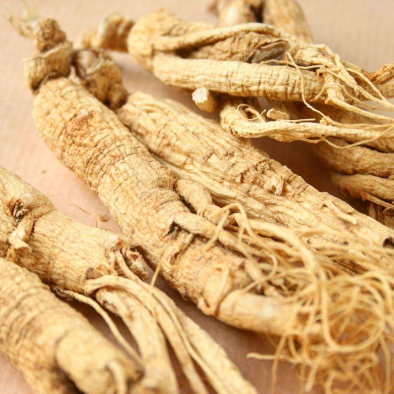 Panax Ginseng женьшень