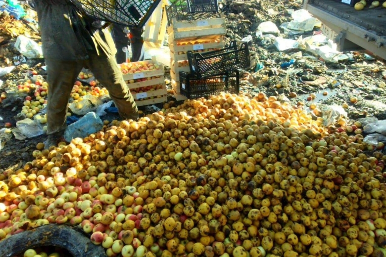 Фрукты растущие в Дагестане