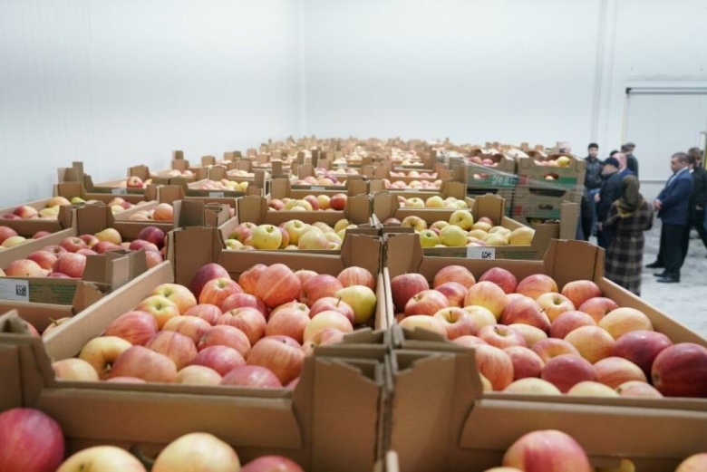 Секция в складе овощи